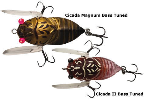 Cicada Fishing Lure