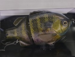 Real blue gill -Slow sinking