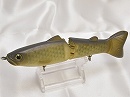 Real fash carp (2008 Member limited color)