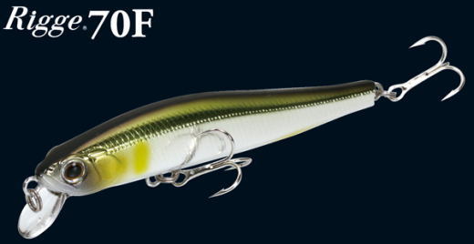 ZipBaits Rigge 70F - Raubfisch24