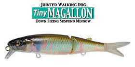 NEW 2024 Trout Lure Shimano Cardiff Armajoint 60SS 6cm 5.4g Jointed lures